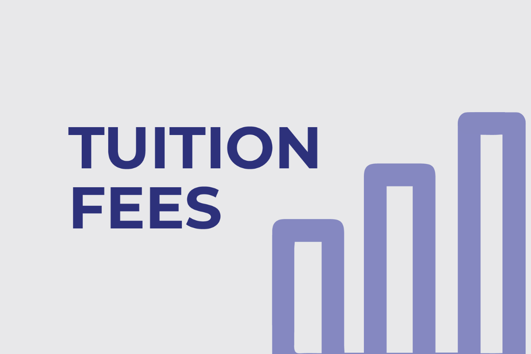 Digital image: Fees